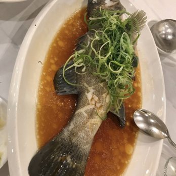 星月樓 - Steamed Fresh Grouper - Cantonese Near Me - Hong Kong, HK
