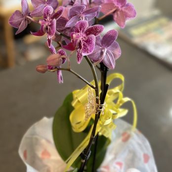 Long Phung Bakery - Orchid - Bakeries Near Me - Westminster, California Long Phung Bakery - Orchid - Bakeries Near Me - Westminster, California
