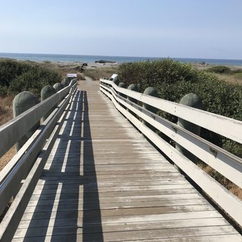 Gold Bluffs Beach & Campground - Walking to Gold Bluffs Beach from the Thomas H Kuchel Visitor Center entrance - Campgrounds Near Me - Orick, California