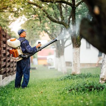 All Pest - Pest Control Near Me All Pest - Pest Control Near Me