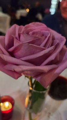 Pasta Amore by null
