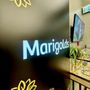 Photo of Marigolds Cannabis