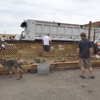 56 Brewing - Prepping some hop vines to climb up and over the future patio area - Breweries Near Me - Minneapolis, Minnesota 56 Brewing - Prepping some hop vines to climb up and over the future patio area - Breweries Near Me - Minneapolis, Minnesota