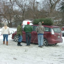 L & M Tree Farm