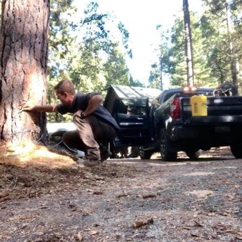 Nick Chase Pest Control - Tree injection for bark beetles - Pest Control Near Me - Sonora, California Nick Chase Pest Control - Tree injection for bark beetles - Pest Control Near Me - Sonora, California