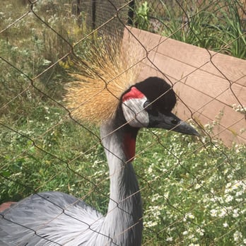 International Crane Foundation - Zoos Near Me - Baraboo, Wisconsin International Crane Foundation - Zoos Near Me - Baraboo, Wisconsin