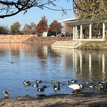 Mueller Lake Park - Ducks - Playgrounds Near Me - Austin, Texas Mueller Lake Park - Ducks - Playgrounds Near Me - Austin, Texas