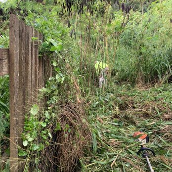 Karli’s Yard Services - Major vegetation clearing - Tree Services Near Me