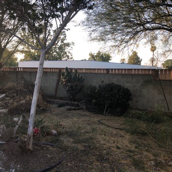 Discount Tree Care Arborist - Cactus ball, bush & debris pile - Tree Services Near Me - Long Beach, California