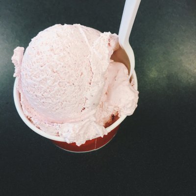 Maryland Dairy by null