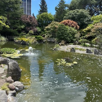 Japanese Gardens - Parks Near Me - San Mateo, California Japanese Gardens - Parks Near Me - San Mateo, California