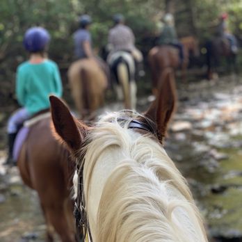 Creekside Riding Academy & Stables - Horseback Riding Near Me - Franklin, Tennessee