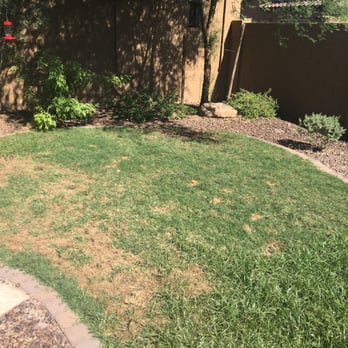 Lucas Lawn and Yard Care - How bad the yard looks after months with them. - Landscaping Near Me Lucas Lawn and Yard Care - How bad the yard looks after months with them. - Landscaping Near Me