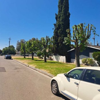 Mid-Valley Tree Service - After - Tree Services Near Me - Fresno, California Mid-Valley Tree Service - After - Tree Services Near Me - Fresno, California