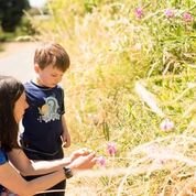 Wildflowers Preschool - childcare center in Seattle, WA