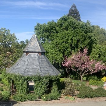 Heather Farm Park - Gazebo & trees - Parks Near Me - Walnut Creek, California Heather Farm Park - Gazebo & trees - Parks Near Me - Walnut Creek, California