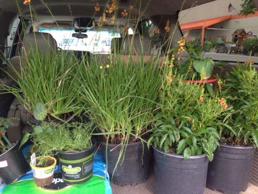 The Home Depot by null