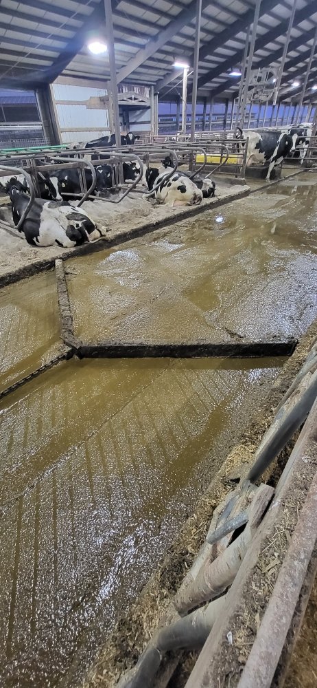 Slide of Kott Handyman Services