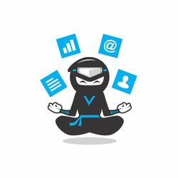 Bizzy Ninja