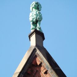 stadterlebnis.hamburg - Der Pudel auf dem Dach hat eine lustige Geschichte...