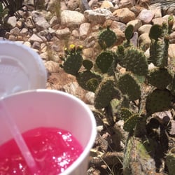 Bat Cave Cafe - Prickly pear lemonade