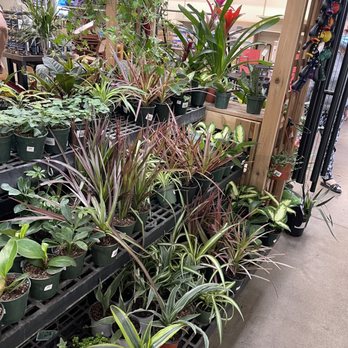 Davis Ace Hardware - Hardware Stores Near Me - Davis, California