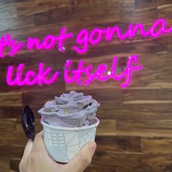 Cauldron Ice Cream