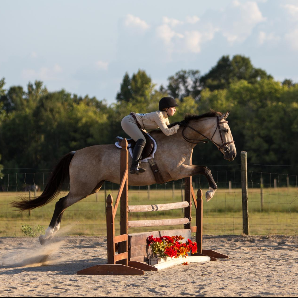 River Pine Farm - equestrian in Huntsville, AL