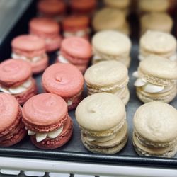 Michigan Made Treats - Macarons