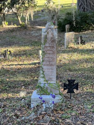 Greenwood Cemetery by null