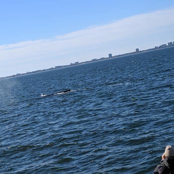 Rudee Tours - Tours Near Me - Virginia Beach, Virginia Rudee Tours - Tours Near Me - Virginia Beach, Virginia