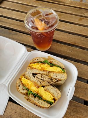 The Blue Light Speak Cheesy by null