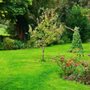 Photo of Cy Total Yardcare