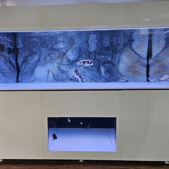 Advanced Acrylics - Aquarium Services Near Me - Orange, California Advanced Acrylics - Aquarium Services Near Me - Orange, California