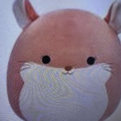 Bay Area Behavioral Connections - Squishsmallows Hamster