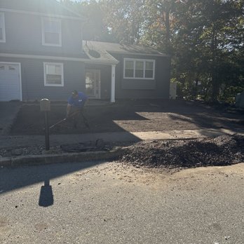 Brandts Tree service - Tree Services Near Me Brandts Tree service - Tree Services Near Me