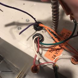 Chewed wires