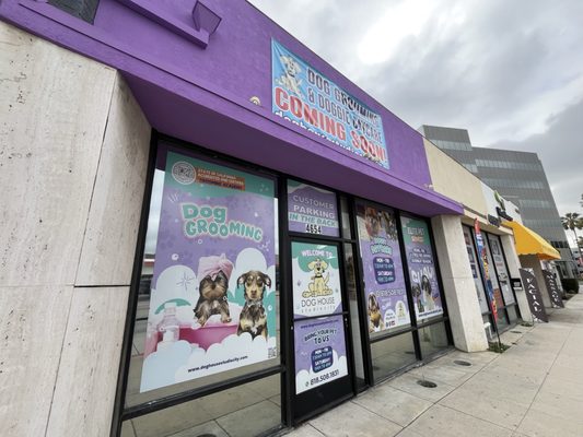 The Dog House by null