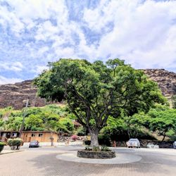 Waianae Coast Comprehensive Health Center