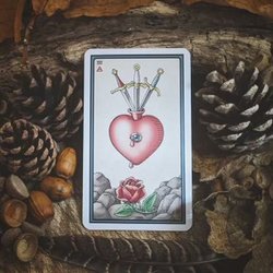 Psychic Mary Todd
