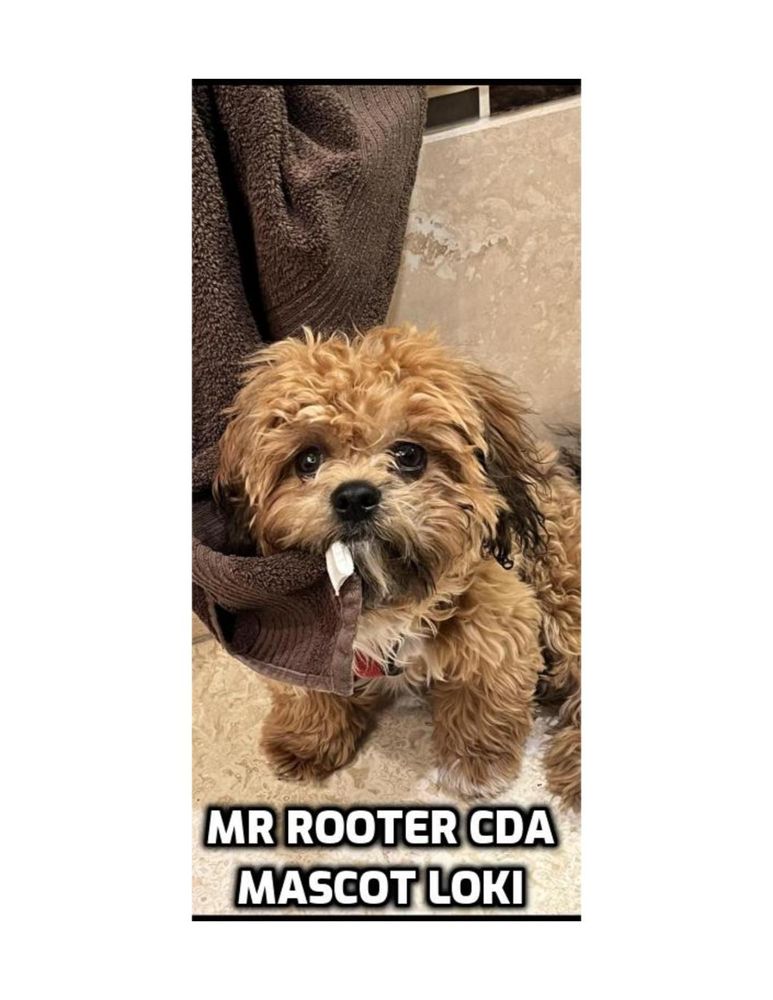 Slide of Mr. Rooter Plumbing of Coeur d'Alene