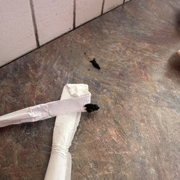 There is literal shit on the table!