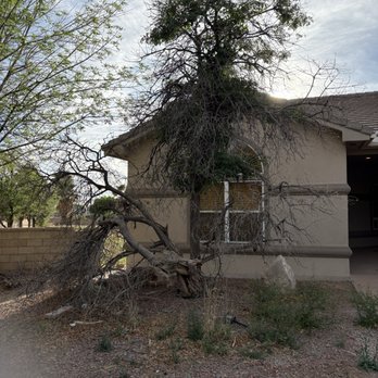 Etc Tree Services - Tree Services Near Me - Alamogordo, New Mexico Etc Tree Services - Tree Services Near Me - Alamogordo, New Mexico