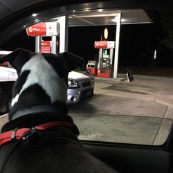 Pat's Quickstop
