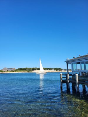 Gosman's Clam Bar by null