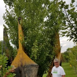 Dolmage Tree Farm - Tree being moved with 80 inch tree spade.