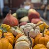 Gopher Glen Organic Apple Farm gift card