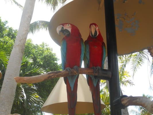 Miami Seaquarium by null