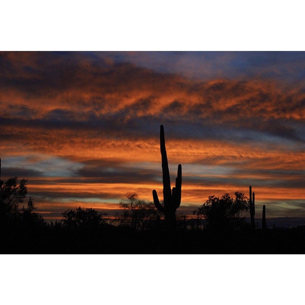 American Powersport Rentals - ATV Rentals/Tours Near Me - Mesa, Arizona American Powersport Rentals - ATV Rentals/Tours Near Me - Mesa, Arizona