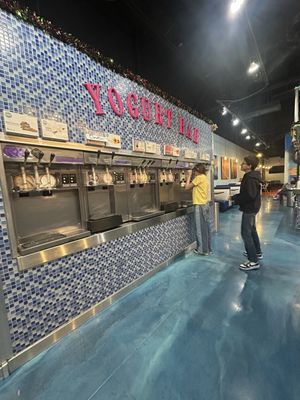 Island Frozen Yogurt Bar by null
